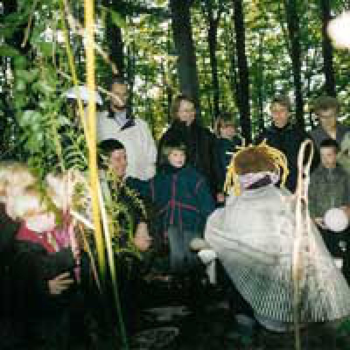 Week van het Bos 2002